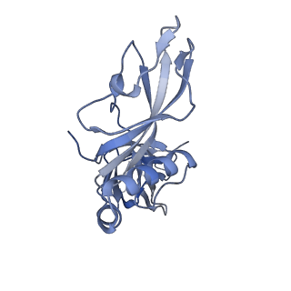 24771_7spi_C7_v1-0
Models for C13 reconstruction of Outer Membrane Core Complex (OMCC) of Type IV Secretion System (T4SS) encoded by a plasmid overproducing TraV, TraK and TraB of pED208
