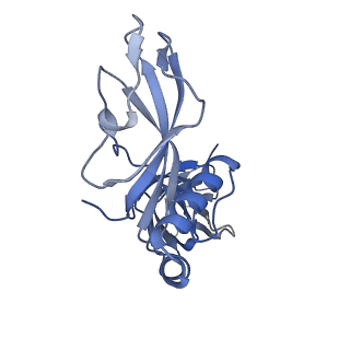 24771_7spi_C8_v1-0
Models for C13 reconstruction of Outer Membrane Core Complex (OMCC) of Type IV Secretion System (T4SS) encoded by a plasmid overproducing TraV, TraK and TraB of pED208