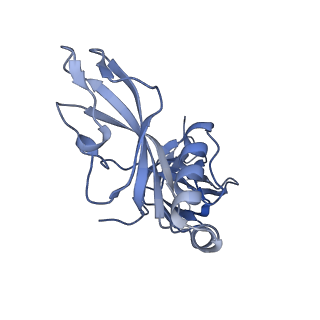 24771_7spi_C9_v1-0
Models for C13 reconstruction of Outer Membrane Core Complex (OMCC) of Type IV Secretion System (T4SS) encoded by a plasmid overproducing TraV, TraK and TraB of pED208