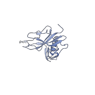 24771_7spi_D10_v1-0
Models for C13 reconstruction of Outer Membrane Core Complex (OMCC) of Type IV Secretion System (T4SS) encoded by a plasmid overproducing TraV, TraK and TraB of pED208