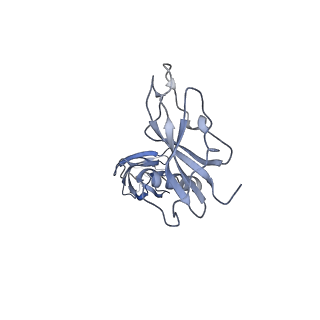 24771_7spi_D7_v1-0
Models for C13 reconstruction of Outer Membrane Core Complex (OMCC) of Type IV Secretion System (T4SS) encoded by a plasmid overproducing TraV, TraK and TraB of pED208