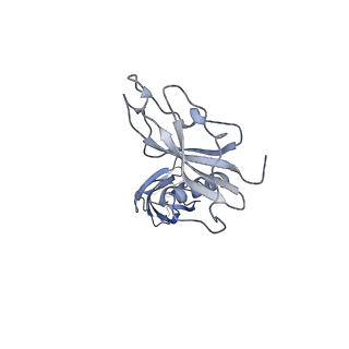 24771_7spi_D8_v1-0
Models for C13 reconstruction of Outer Membrane Core Complex (OMCC) of Type IV Secretion System (T4SS) encoded by a plasmid overproducing TraV, TraK and TraB of pED208