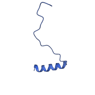 24772_7spj_AB16_v1-0
Models for C17 reconstruction of Outer Membrane Core Complex (OMCC) of Type IV Secretion System (T4SS) encoded by a plasmid overproducing TraV, TraK and TraB of pED208