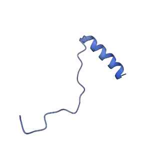 24772_7spj_AB5_v1-0
Models for C17 reconstruction of Outer Membrane Core Complex (OMCC) of Type IV Secretion System (T4SS) encoded by a plasmid overproducing TraV, TraK and TraB of pED208