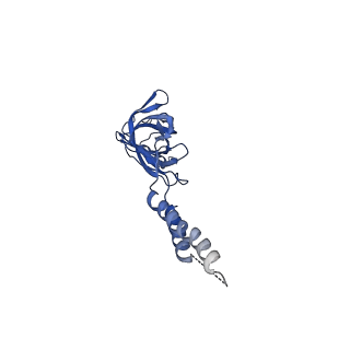 24772_7spj_EF11_v1-0
Models for C17 reconstruction of Outer Membrane Core Complex (OMCC) of Type IV Secretion System (T4SS) encoded by a plasmid overproducing TraV, TraK and TraB of pED208
