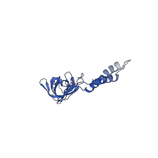 24772_7spj_EF15_v1-0
Models for C17 reconstruction of Outer Membrane Core Complex (OMCC) of Type IV Secretion System (T4SS) encoded by a plasmid overproducing TraV, TraK and TraB of pED208
