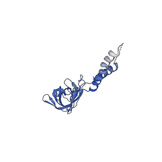 24772_7spj_EF16_v1-0
Models for C17 reconstruction of Outer Membrane Core Complex (OMCC) of Type IV Secretion System (T4SS) encoded by a plasmid overproducing TraV, TraK and TraB of pED208