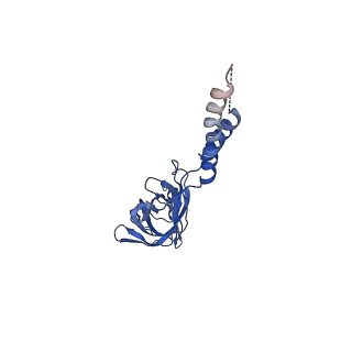 24772_7spj_EF17_v1-0
Models for C17 reconstruction of Outer Membrane Core Complex (OMCC) of Type IV Secretion System (T4SS) encoded by a plasmid overproducing TraV, TraK and TraB of pED208