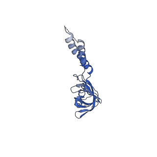 24772_7spj_EF2_v1-0
Models for C17 reconstruction of Outer Membrane Core Complex (OMCC) of Type IV Secretion System (T4SS) encoded by a plasmid overproducing TraV, TraK and TraB of pED208