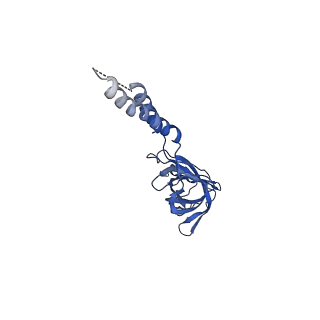 24772_7spj_EF3_v1-0
Models for C17 reconstruction of Outer Membrane Core Complex (OMCC) of Type IV Secretion System (T4SS) encoded by a plasmid overproducing TraV, TraK and TraB of pED208