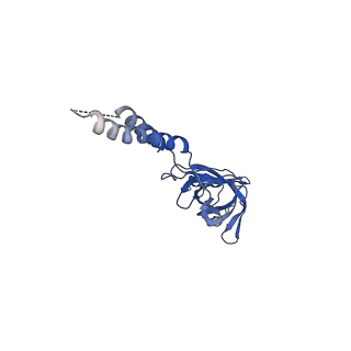 24772_7spj_EF4_v1-0
Models for C17 reconstruction of Outer Membrane Core Complex (OMCC) of Type IV Secretion System (T4SS) encoded by a plasmid overproducing TraV, TraK and TraB of pED208