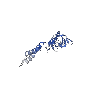 24772_7spj_EF7_v1-0
Models for C17 reconstruction of Outer Membrane Core Complex (OMCC) of Type IV Secretion System (T4SS) encoded by a plasmid overproducing TraV, TraK and TraB of pED208