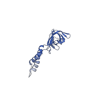 24772_7spj_EF8_v1-0
Models for C17 reconstruction of Outer Membrane Core Complex (OMCC) of Type IV Secretion System (T4SS) encoded by a plasmid overproducing TraV, TraK and TraB of pED208