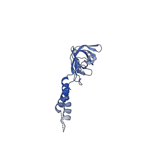 24772_7spj_EF9_v1-0
Models for C17 reconstruction of Outer Membrane Core Complex (OMCC) of Type IV Secretion System (T4SS) encoded by a plasmid overproducing TraV, TraK and TraB of pED208