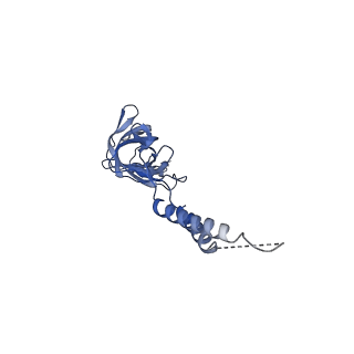 24773_7spk_EF11_v1-0
Models for C16 reconstruction of Outer Membrane Core Complex (OMCC) of Type IV Secretion System (T4SS) encoded by a plasmid overproducing TraV, TraK and TraB of pED208