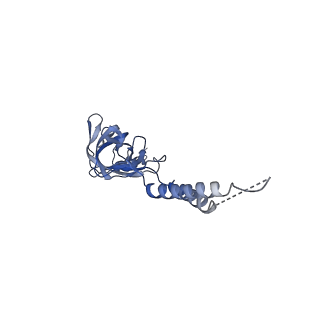 24773_7spk_EF12_v1-0
Models for C16 reconstruction of Outer Membrane Core Complex (OMCC) of Type IV Secretion System (T4SS) encoded by a plasmid overproducing TraV, TraK and TraB of pED208