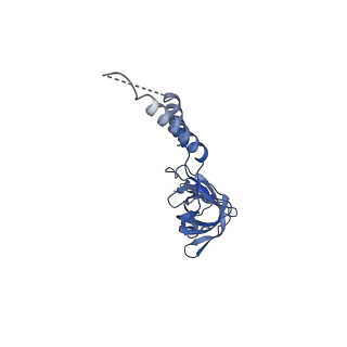 24773_7spk_EF2_v1-0
Models for C16 reconstruction of Outer Membrane Core Complex (OMCC) of Type IV Secretion System (T4SS) encoded by a plasmid overproducing TraV, TraK and TraB of pED208
