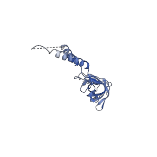24773_7spk_EF3_v1-0
Models for C16 reconstruction of Outer Membrane Core Complex (OMCC) of Type IV Secretion System (T4SS) encoded by a plasmid overproducing TraV, TraK and TraB of pED208