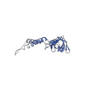 24773_7spk_EF5_v1-0
Models for C16 reconstruction of Outer Membrane Core Complex (OMCC) of Type IV Secretion System (T4SS) encoded by a plasmid overproducing TraV, TraK and TraB of pED208