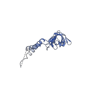 24773_7spk_EF6_v1-0
Models for C16 reconstruction of Outer Membrane Core Complex (OMCC) of Type IV Secretion System (T4SS) encoded by a plasmid overproducing TraV, TraK and TraB of pED208