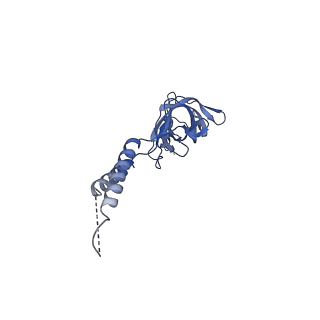 24773_7spk_EF7_v1-0
Models for C16 reconstruction of Outer Membrane Core Complex (OMCC) of Type IV Secretion System (T4SS) encoded by a plasmid overproducing TraV, TraK and TraB of pED208