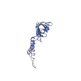 24773_7spk_EF8_v1-0
Models for C16 reconstruction of Outer Membrane Core Complex (OMCC) of Type IV Secretion System (T4SS) encoded by a plasmid overproducing TraV, TraK and TraB of pED208
