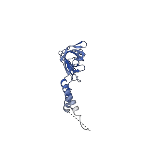 24773_7spk_EF9_v1-0
Models for C16 reconstruction of Outer Membrane Core Complex (OMCC) of Type IV Secretion System (T4SS) encoded by a plasmid overproducing TraV, TraK and TraB of pED208
