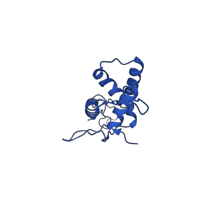 25365_7sp4_0_v1-1
In situ cryo-EM structure of bacteriophage Sf6 gp3:gp7:gp5 complex in conformation 2 at 3.71A resolution