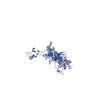 25365_7sp4_A_v1-1
In situ cryo-EM structure of bacteriophage Sf6 gp3:gp7:gp5 complex in conformation 2 at 3.71A resolution