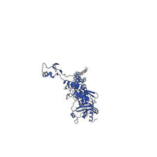 25365_7sp4_B_v1-1
In situ cryo-EM structure of bacteriophage Sf6 gp3:gp7:gp5 complex in conformation 2 at 3.71A resolution