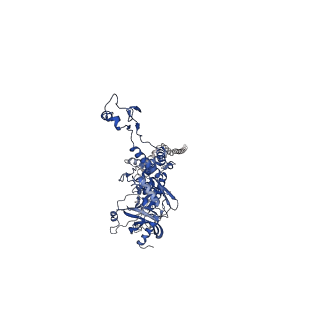 25365_7sp4_C_v1-1
In situ cryo-EM structure of bacteriophage Sf6 gp3:gp7:gp5 complex in conformation 2 at 3.71A resolution