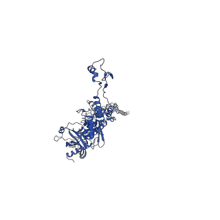25365_7sp4_D_v1-1
In situ cryo-EM structure of bacteriophage Sf6 gp3:gp7:gp5 complex in conformation 2 at 3.71A resolution