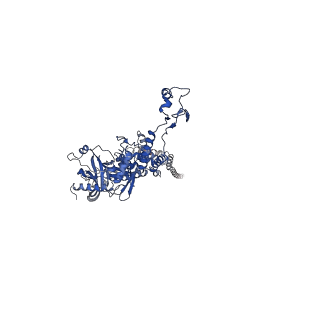 25365_7sp4_E_v1-1
In situ cryo-EM structure of bacteriophage Sf6 gp3:gp7:gp5 complex in conformation 2 at 3.71A resolution