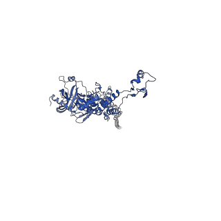 25365_7sp4_F_v1-1
In situ cryo-EM structure of bacteriophage Sf6 gp3:gp7:gp5 complex in conformation 2 at 3.71A resolution