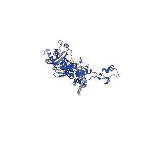25365_7sp4_G_v1-1
In situ cryo-EM structure of bacteriophage Sf6 gp3:gp7:gp5 complex in conformation 2 at 3.71A resolution