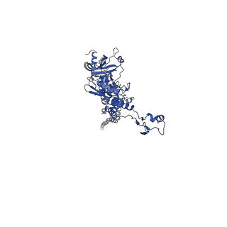 25365_7sp4_H_v1-1
In situ cryo-EM structure of bacteriophage Sf6 gp3:gp7:gp5 complex in conformation 2 at 3.71A resolution