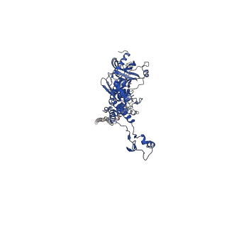 25365_7sp4_I_v1-1
In situ cryo-EM structure of bacteriophage Sf6 gp3:gp7:gp5 complex in conformation 2 at 3.71A resolution