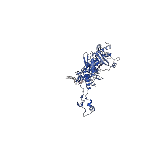 25365_7sp4_J_v1-1
In situ cryo-EM structure of bacteriophage Sf6 gp3:gp7:gp5 complex in conformation 2 at 3.71A resolution