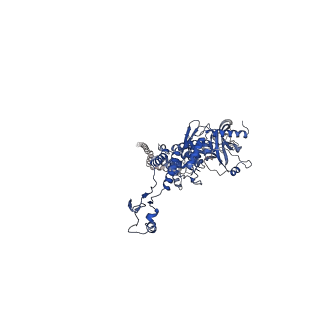 25365_7sp4_K_v1-1
In situ cryo-EM structure of bacteriophage Sf6 gp3:gp7:gp5 complex in conformation 2 at 3.71A resolution