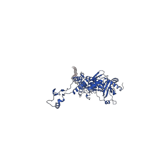 25365_7sp4_L_v1-1
In situ cryo-EM structure of bacteriophage Sf6 gp3:gp7:gp5 complex in conformation 2 at 3.71A resolution