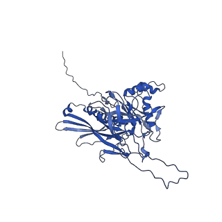 25365_7sp4_M_v1-1
In situ cryo-EM structure of bacteriophage Sf6 gp3:gp7:gp5 complex in conformation 2 at 3.71A resolution