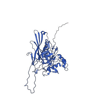 25365_7sp4_N_v1-1
In situ cryo-EM structure of bacteriophage Sf6 gp3:gp7:gp5 complex in conformation 2 at 3.71A resolution