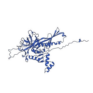25365_7sp4_Q_v1-1
In situ cryo-EM structure of bacteriophage Sf6 gp3:gp7:gp5 complex in conformation 2 at 3.71A resolution