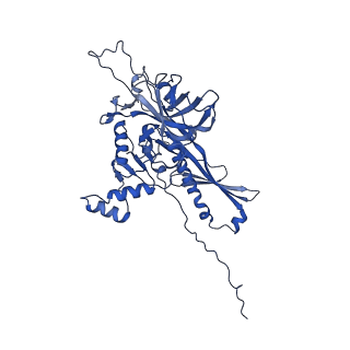 25365_7sp4_R_v1-1
In situ cryo-EM structure of bacteriophage Sf6 gp3:gp7:gp5 complex in conformation 2 at 3.71A resolution