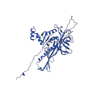 25365_7sp4_S_v1-1
In situ cryo-EM structure of bacteriophage Sf6 gp3:gp7:gp5 complex in conformation 2 at 3.71A resolution