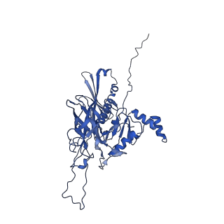 25365_7sp4_U_v1-1
In situ cryo-EM structure of bacteriophage Sf6 gp3:gp7:gp5 complex in conformation 2 at 3.71A resolution