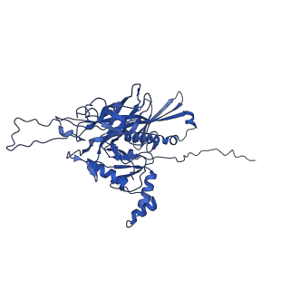 25365_7sp4_V_v1-1
In situ cryo-EM structure of bacteriophage Sf6 gp3:gp7:gp5 complex in conformation 2 at 3.71A resolution