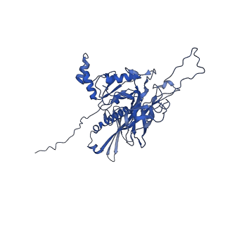 25365_7sp4_X_v1-1
In situ cryo-EM structure of bacteriophage Sf6 gp3:gp7:gp5 complex in conformation 2 at 3.71A resolution