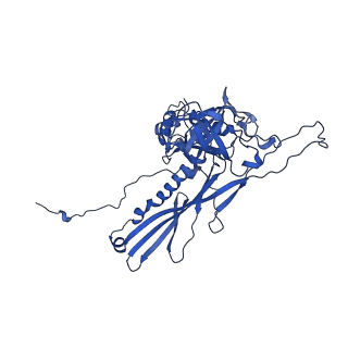 25365_7sp4_b_v1-1
In situ cryo-EM structure of bacteriophage Sf6 gp3:gp7:gp5 complex in conformation 2 at 3.71A resolution