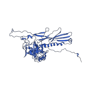 25365_7sp4_g_v1-1
In situ cryo-EM structure of bacteriophage Sf6 gp3:gp7:gp5 complex in conformation 2 at 3.71A resolution